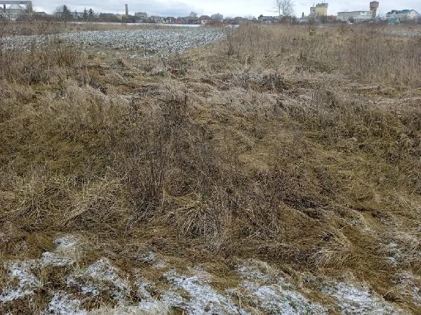  - фото нерухомості